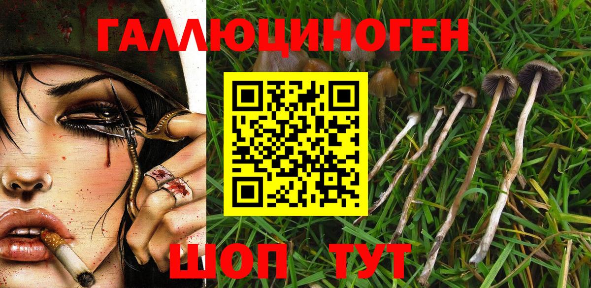 Псилоцибиновые грибы MAGIC MUSHROOMS  Вход с VPN  Скопин  Псилоцибиновые грибы прущие грибы 