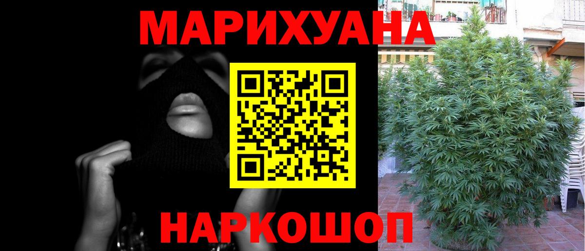 Конопля Bruce Banner Скопин